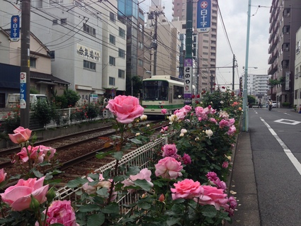 e0081334_2031028.jpg