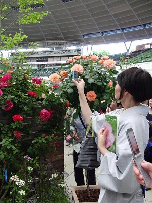 c0234938_16205164.jpg