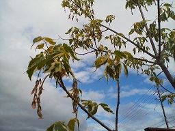 a0272241_2043330.jpg