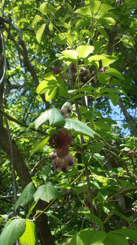 c0310543_2514943.jpg