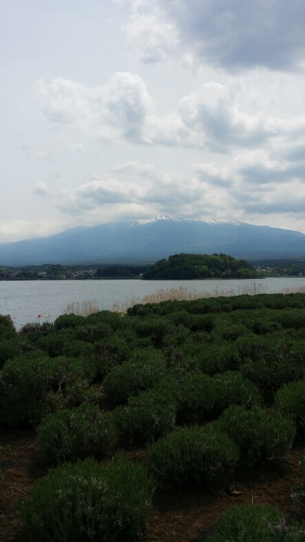 c0310543_384042.jpg