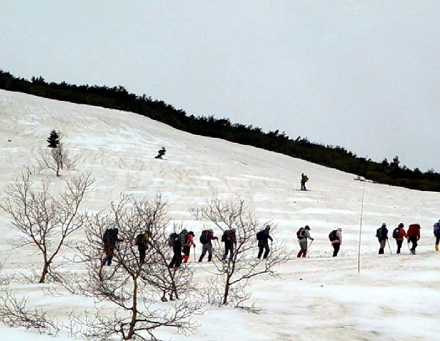 b0122448_8122462.jpg