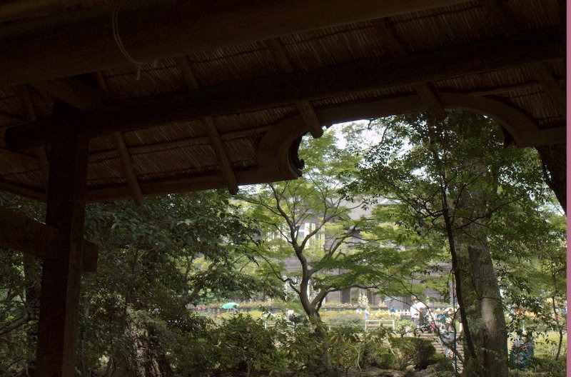 b0296148_17463769.jpg