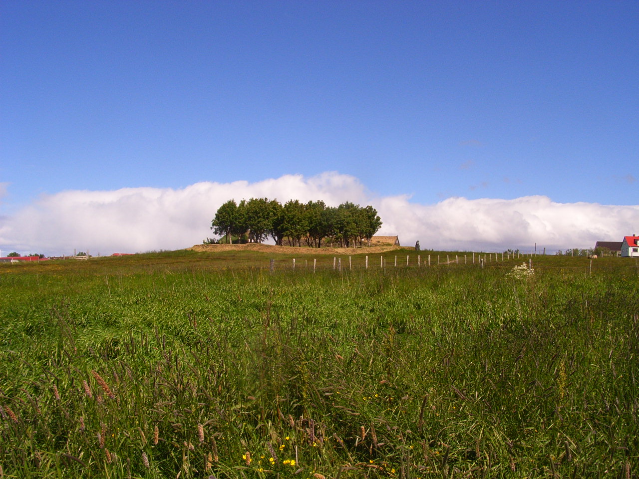 f0257756_1562853.jpg