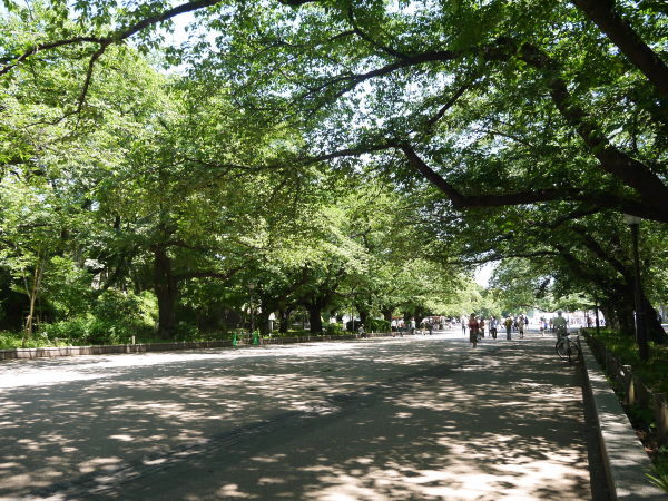 b0282061_736338.jpg