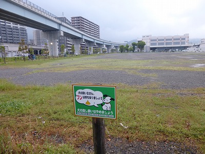 b0096463_12053902.jpg