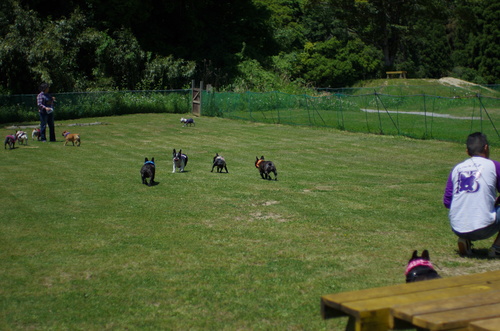 c0298565_22143381.jpg