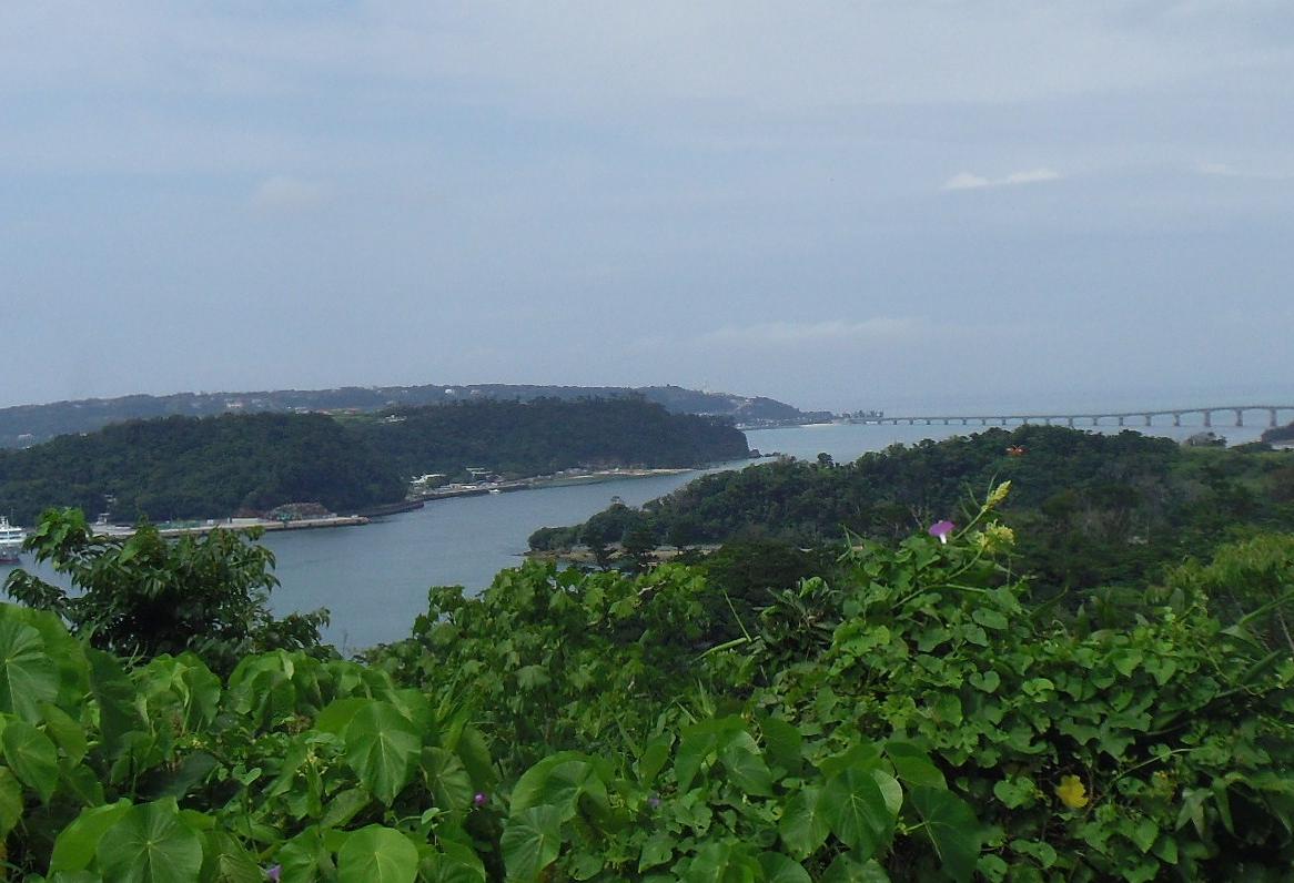 b0102267_11312530.jpg