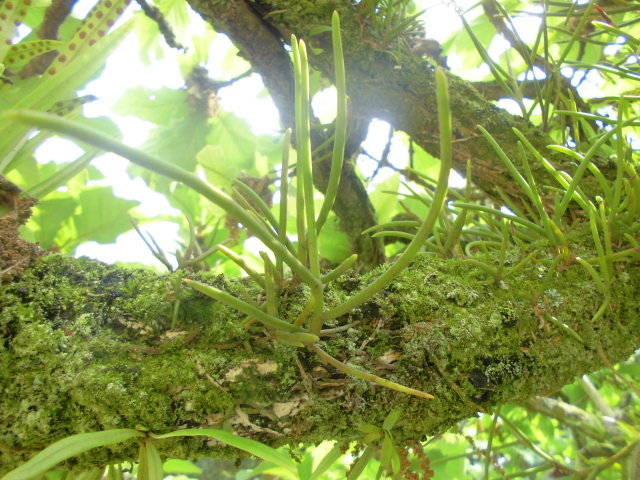 f0318967_19442110.jpg