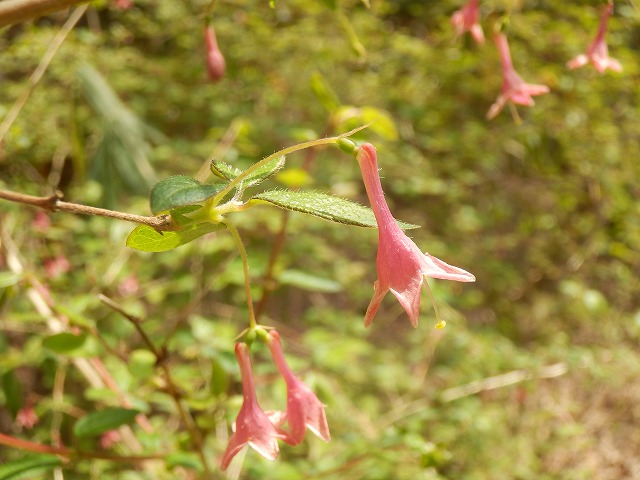 f0057070_2351150.jpg
