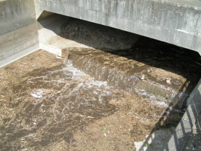 c0112172_10385176.jpg