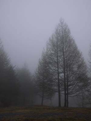 f0266372_1245640.jpg
