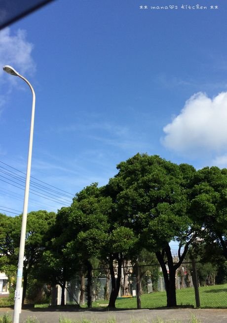 c0139375_1120521.jpg