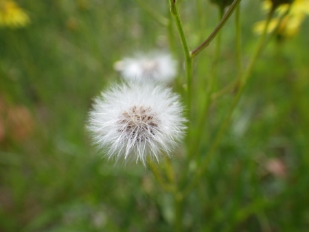 a0125598_22585283.jpg