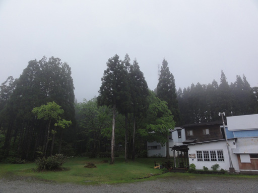 a0061599_735558.jpg