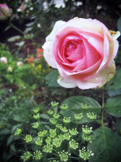 d0077603_10325869.jpg
