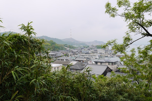 d0133704_13545024.jpg