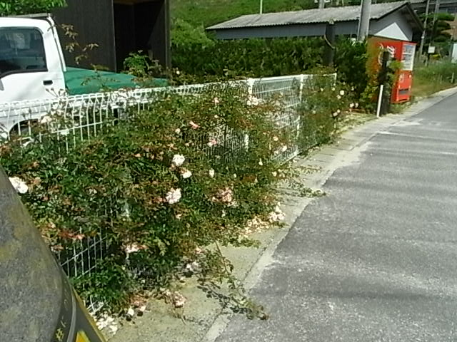 f0341616_7191870.jpg