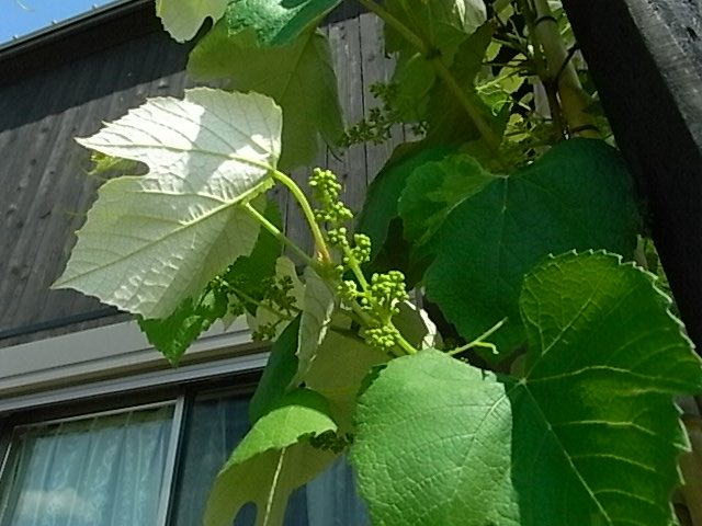 f0341616_7233881.jpg