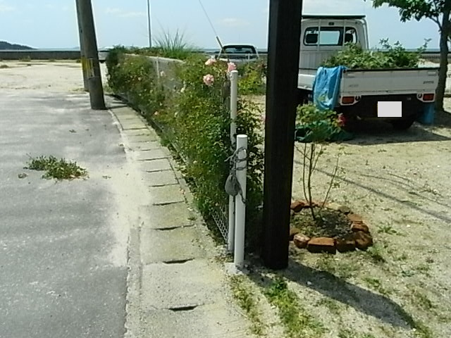 f0341616_7264643.jpg