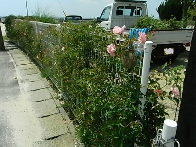 f0341616_72963.jpg