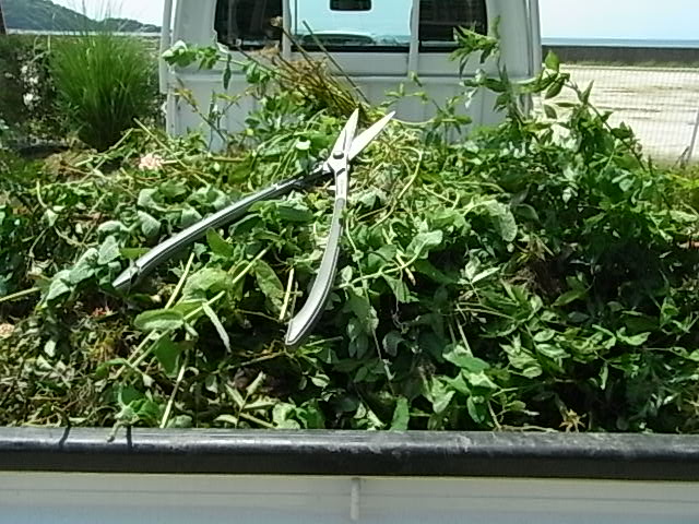 f0341616_7313633.jpg