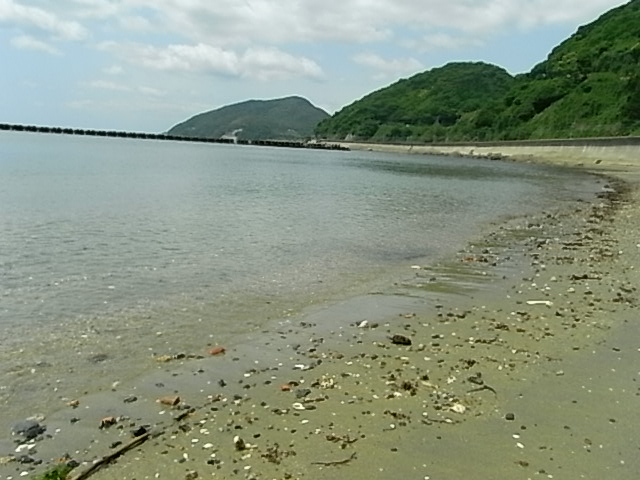 f0341616_7361839.jpg