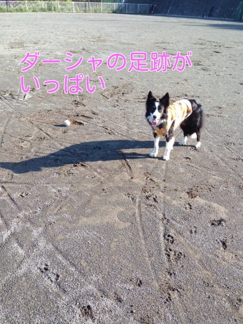 a0232619_15305621.jpg