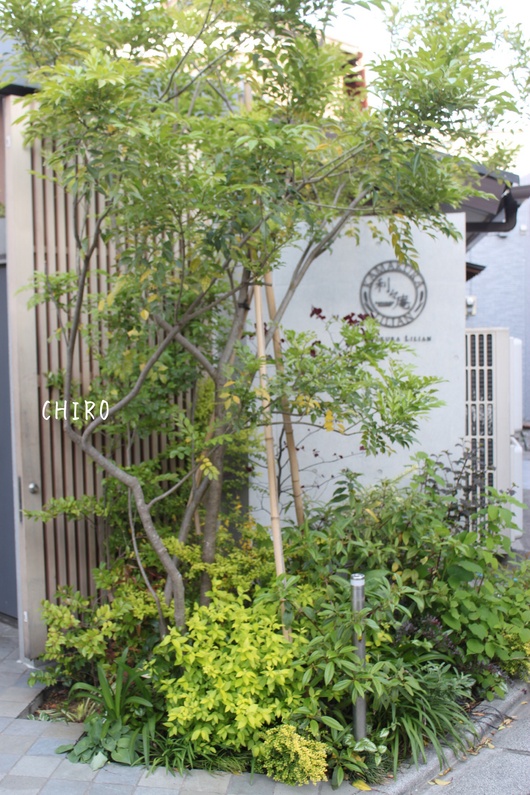 f0293522_1013179.jpg