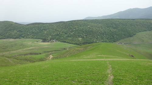 a0289641_1242878.jpg