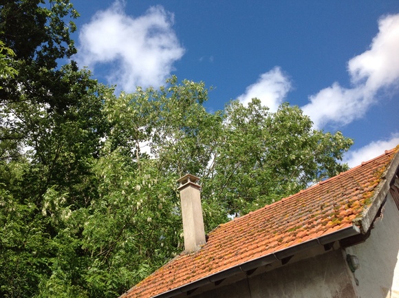 d0227344_5203650.jpg