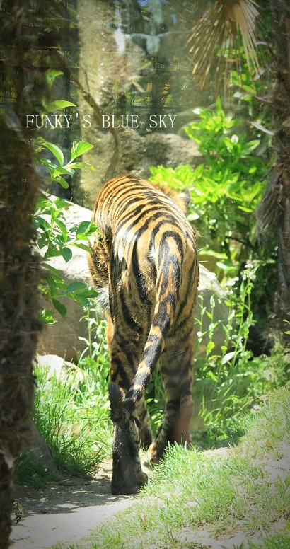 c0145250_16365438.jpg