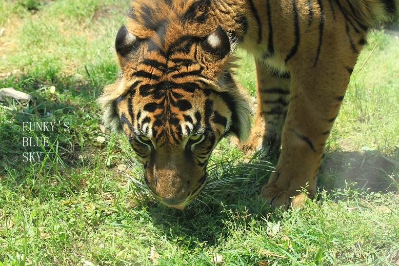 c0145250_1637876.jpg