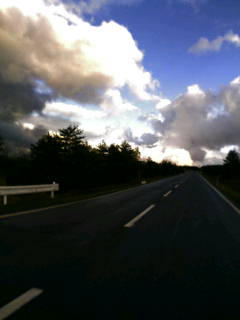 d0045362_2333899.jpg
