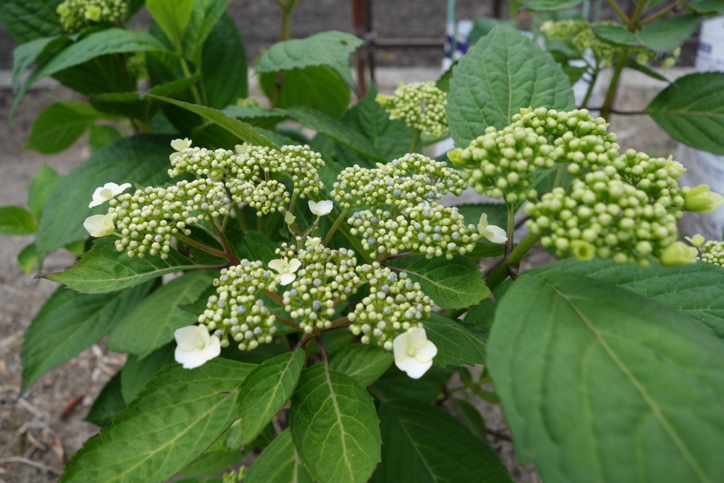 c0216472_23183876.jpg