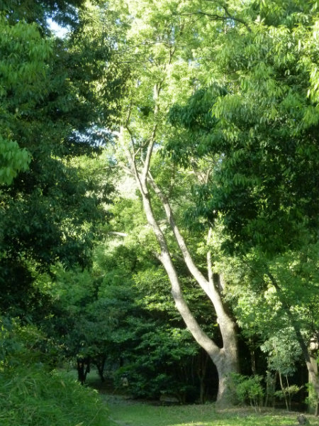 b0326576_022090.jpg