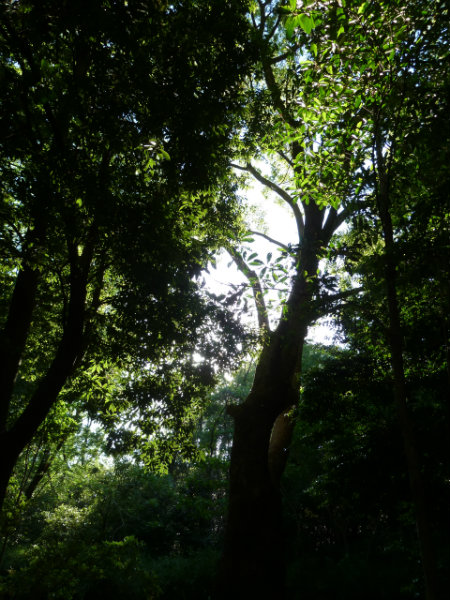 b0326576_042091.jpg