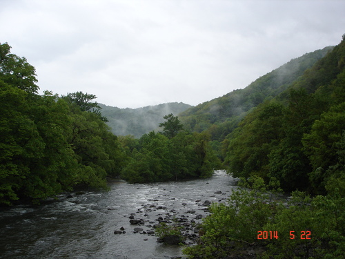 d0165378_8503287.jpg