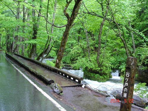 d0165378_8521891.jpg