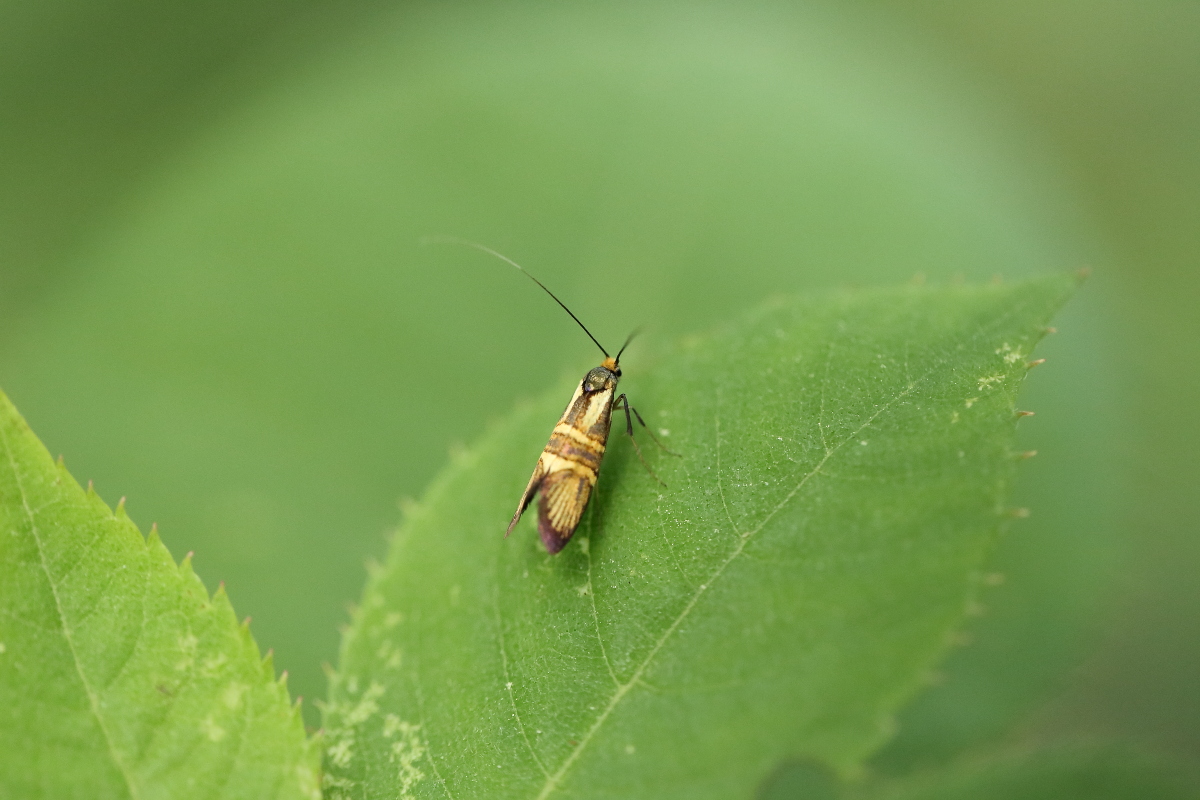 e0249878_22134301.jpg