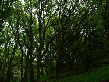 b0110999_062587.jpg