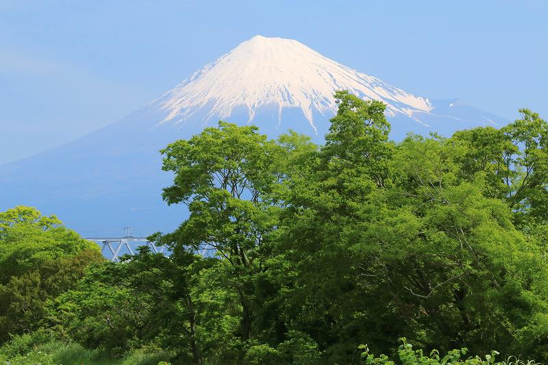 a0188405_0215726.jpg