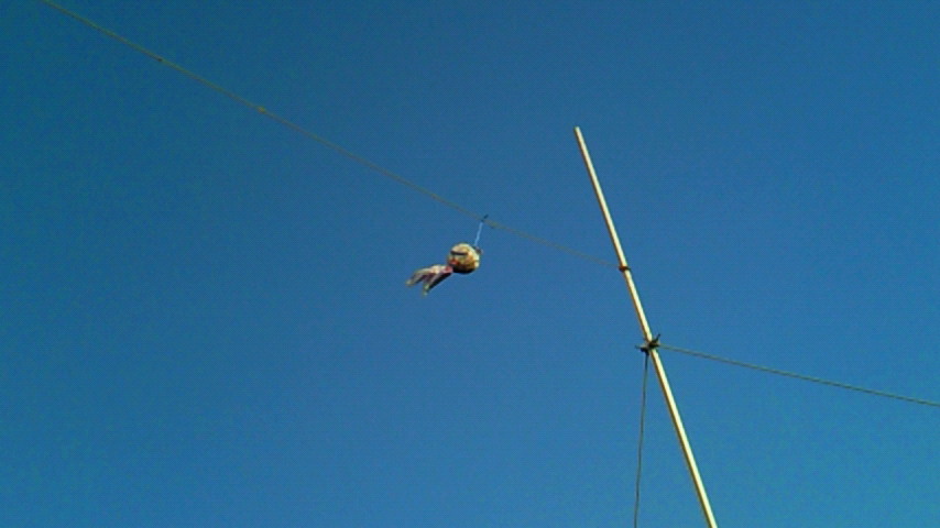d0149105_17453181.jpg