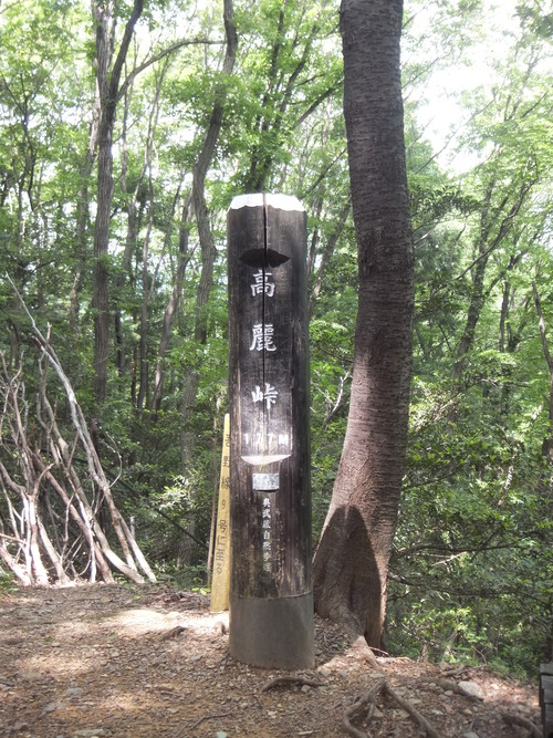 d0149306_2120224.jpg