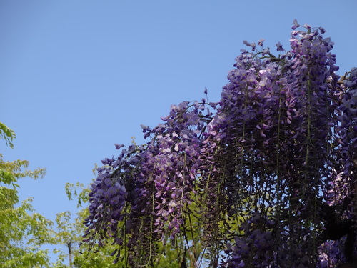 c0279611_2048541.jpg
