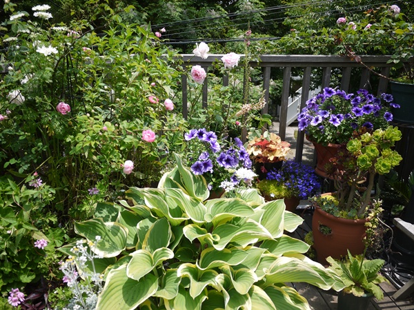 c0214615_22272856.jpg