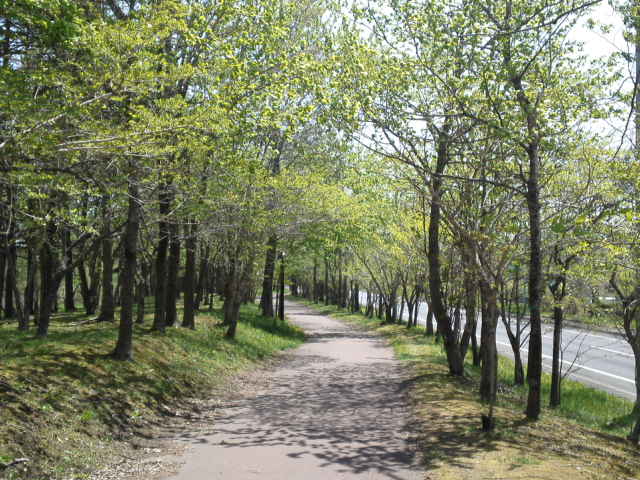 b0300818_20575291.jpg