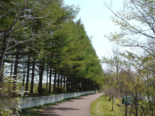 b0300818_20582371.jpg