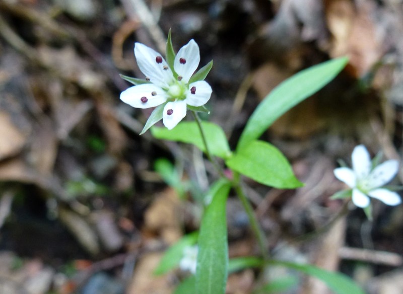 c0042418_8175457.jpg
