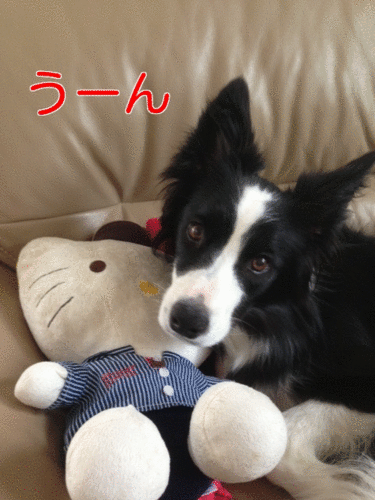 a0232619_19394330.gif
